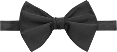 Formal Teardrop Pre-Tied Bow Tie