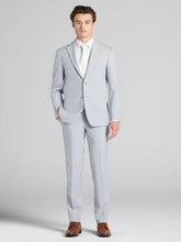 Light Gray Suit