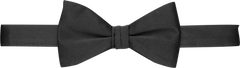Solid Pre-Tied Bow Tie