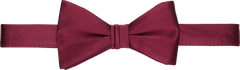 Solid Pre-Tied Bow Tie