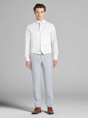 Light Gray Suit