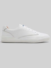Brentford Lace Up Sneakers