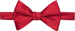 Textured Formal Pre-Tied Bow Tie