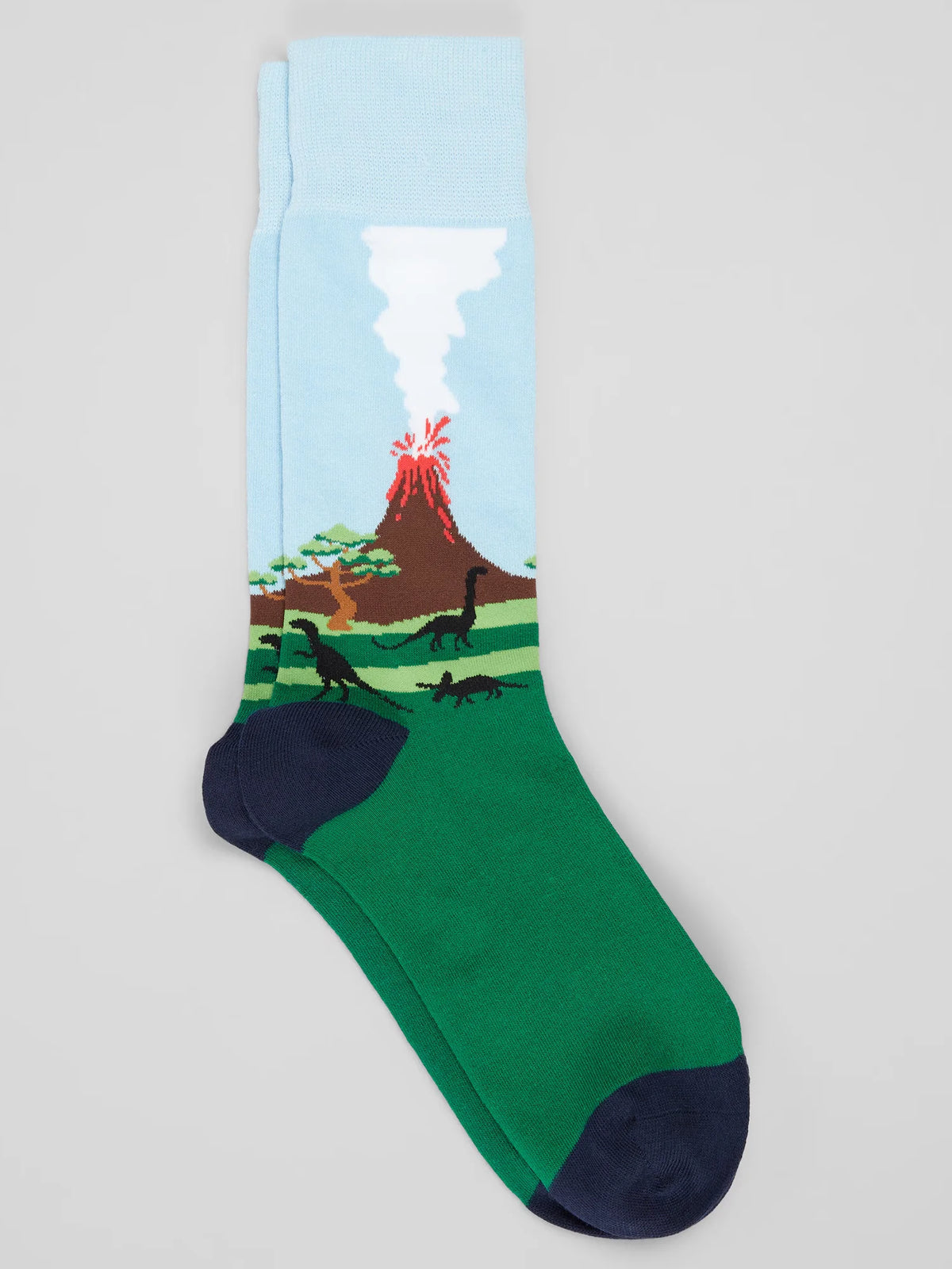 Dinosaur Scenic Socks, 1-Pair