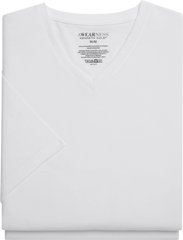 CHILLFLEX V-Neck T-Shirt, 2-pack